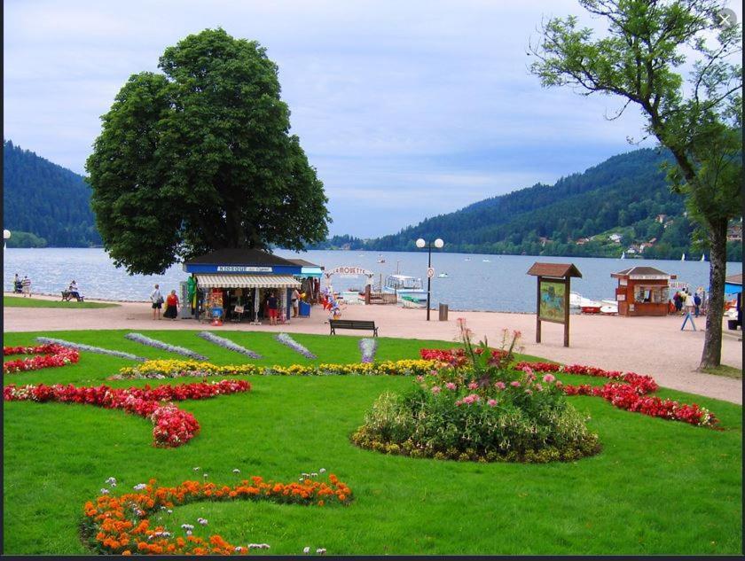 Appt 3* Le Haut Des Lacs Xonrupt-Longemer Exterior foto