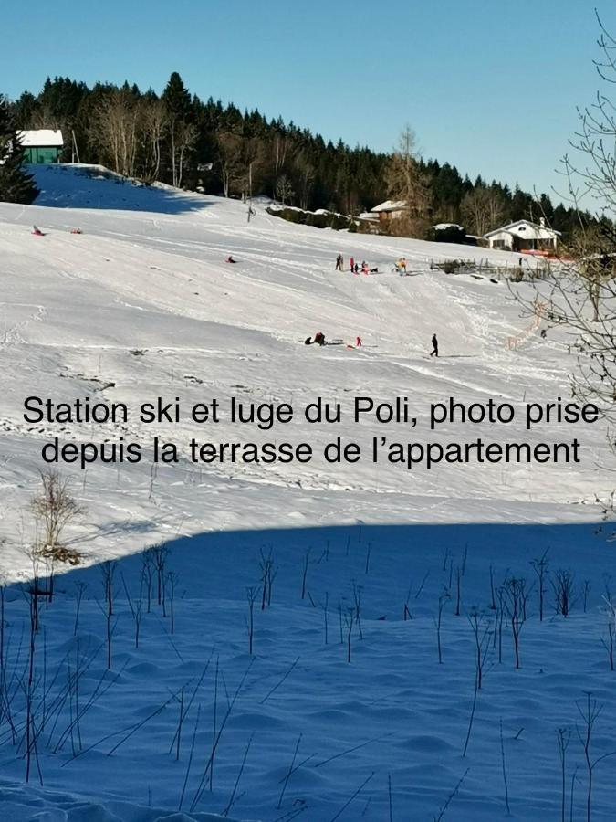 Appt 3* Le Haut Des Lacs Xonrupt-Longemer Exterior foto