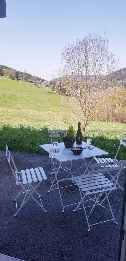 Appt 3* Le Haut Des Lacs Xonrupt-Longemer Exterior foto