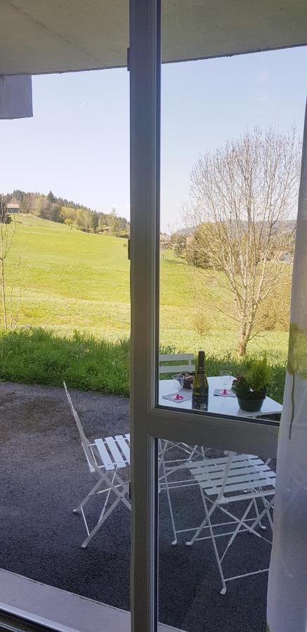 Appt 3* Le Haut Des Lacs Xonrupt-Longemer Exterior foto